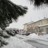 la grande nevicata del febbraio 2012 033